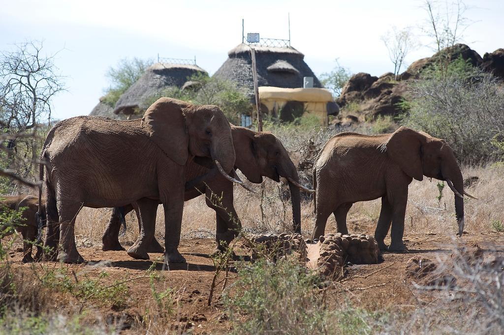 Elerai Camp Hotel Amboseli Room photo